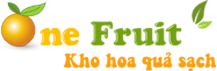 One Fruit Logo